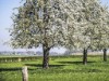 Bild 20 - Ude