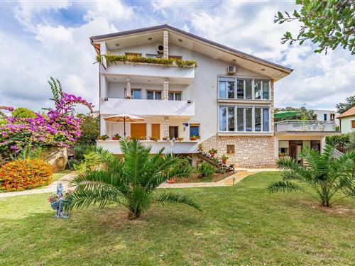 Ferieleilighet - 2 personer -  - Glavica - 52100 - Banjole