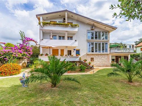 Holiday apartment - 2 persons -  - Glavica - 52100 - Banjole