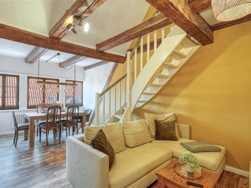 Ferielejlighed - 6 personer -  - Steinweg - 06484 - Quedlinburg