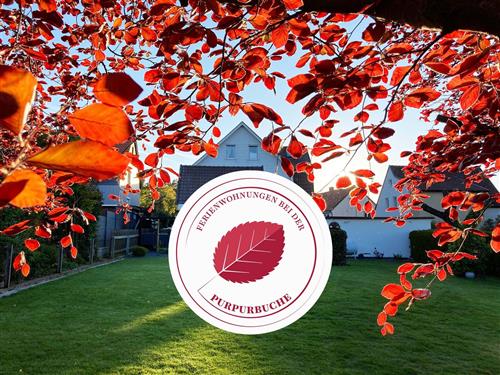 Ferieleilighet - 6 personer -  - Sandstraße - 38667 - Bad Harzburg