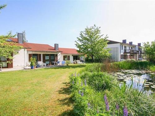 Sommerhus - 6 personer -  - 93167 - Falkenstein