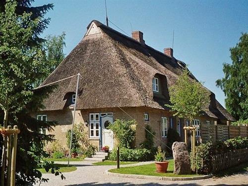 Ferieleilighet - 2 personer -  - Dorfstraße - 24354 - Rieseby