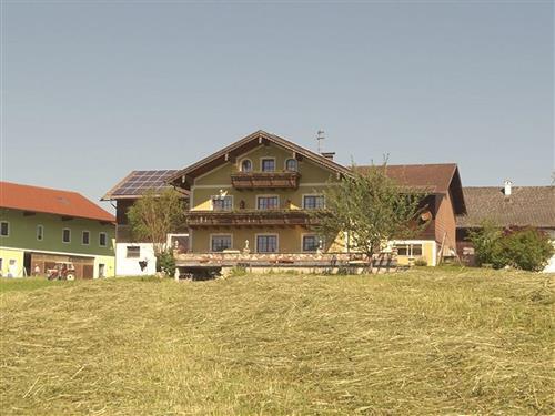 Sommerhus - 4 personer -  - Gegend - 4894 - Oberhofen Am Irrsee
