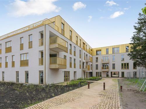 Ferielejlighed - 4 personer -  - 8370 - Blankenberge