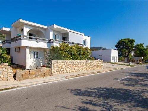 Holiday apartment - 2 persons -  - Catare - Pag - Stara Novalja - 53291 - Stara Novalja