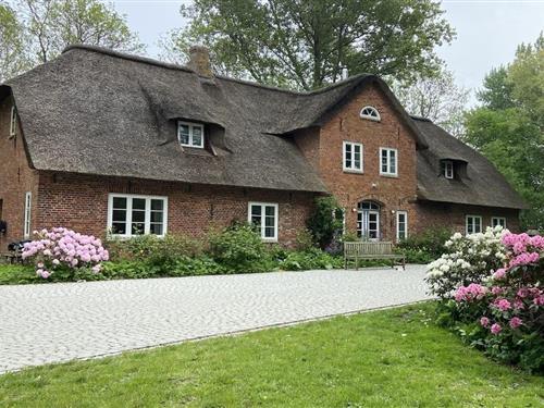 Ferienhaus - 4 Personen -  - 25870 - Oldenswort