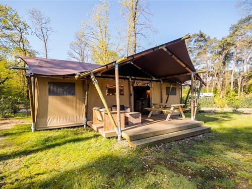 Sommerhus - 6 personer -  - 7475SL - Markelo