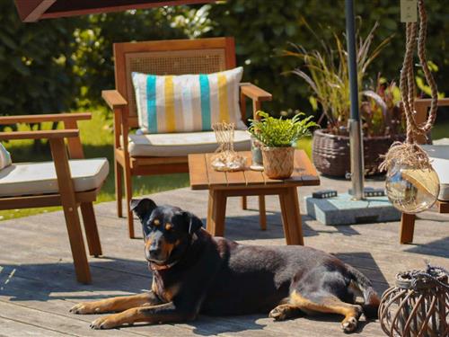 Feriehus - 5 personer -  - Dreibogen - 24960 - Glücksburg