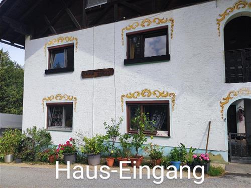 Feriehus / leilighet - 4 personer -  - Spiegelhütte - 94227 - Lindberg