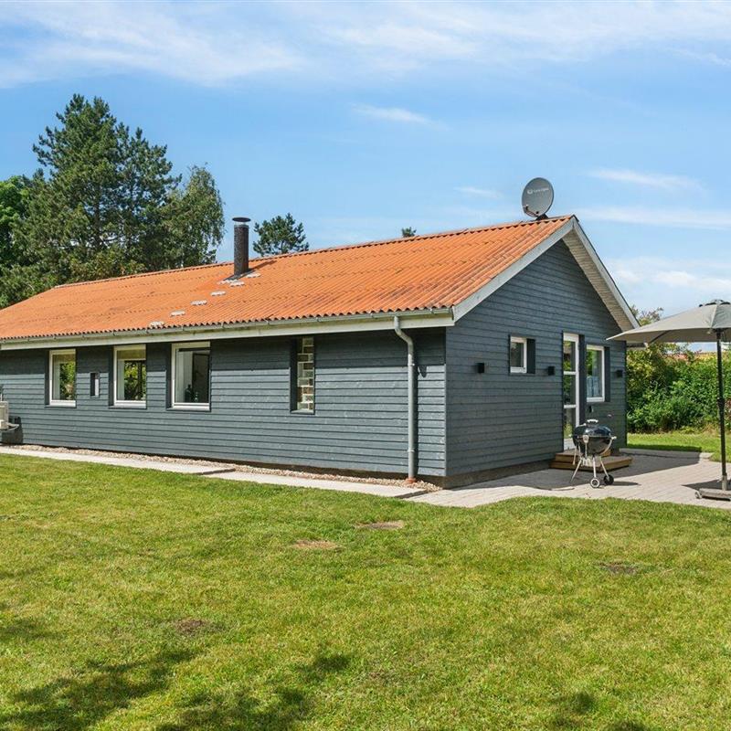 Ferienhaus - 4 Personen -  - Benjaminvej - Havnsø/Eskebjerg Vesterlyng - 4593 - Eskebjerg