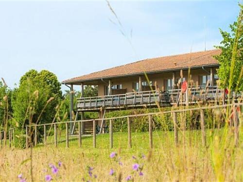 Ferienhaus - 7 Personen -  - 17500 - Jonzac