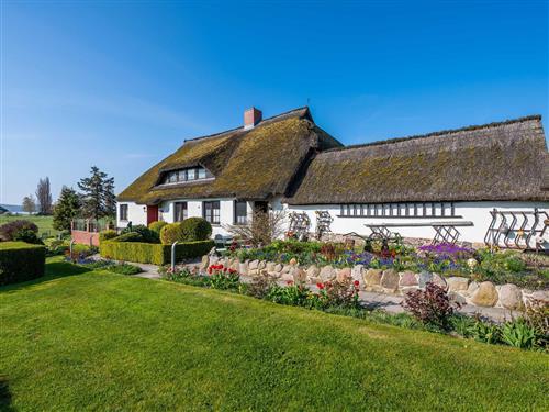 Ferienhaus - 2 Personen -  - 4 Ferienunterkünfte im reetgedeckten Haus - 18586 - Mönchgut