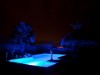 Bild 51