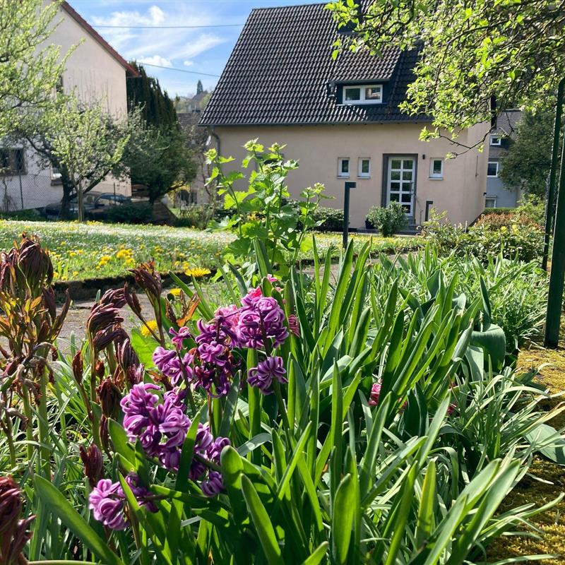 Ferielejlighed - 4 personer -  - Kallenfelser Str. - 55606 - Kirn