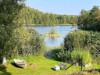 Billede 15 - Udsigt over vand