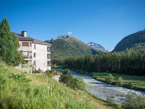Ferieleilighet - 2 personer -  - Via da la Botta - 7504 - Pontresina