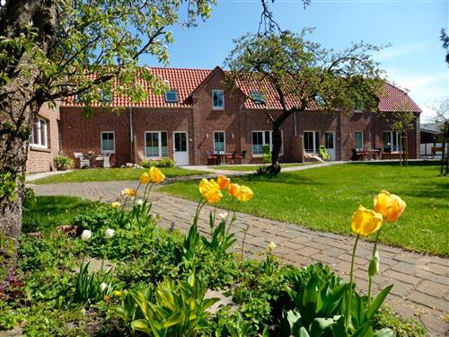 Semesterhus/Semesterlägenhet - 4 personer -  - Presen - 23769 - Fehmarn Ot Presen