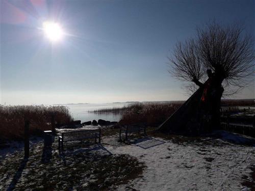 Ferieleilighet - 8 personer -  - Kiefernweg - 17454 - Zinnowitz