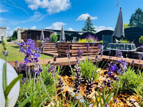 Ferieleilighet - 2 personer -  - Neuhofer Straße - 17424 - Heringsdorf (Seebad)