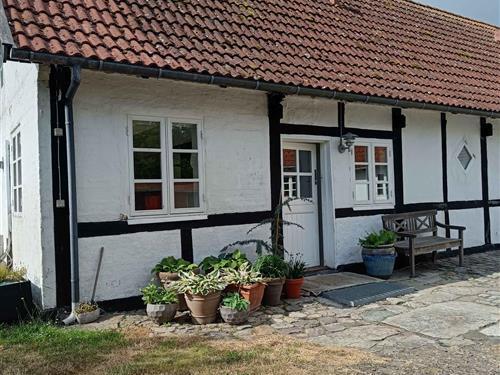 Ferielejlighed - 6 personer -  - Søndre Mosevej - 3730 - Nexø