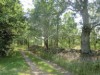 Billede 20