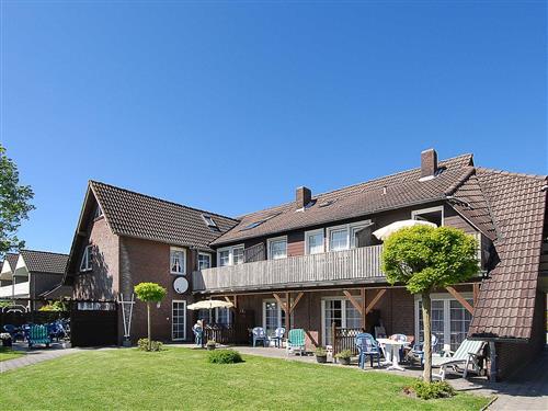 Ferielejlighed - 4 personer -  - Deichringstraße - 26427 - Neuharlingersiel