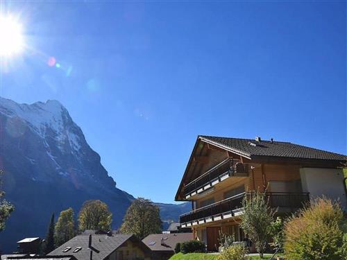 Holiday apartment - 3 persons -  - Grindelwald - 3818