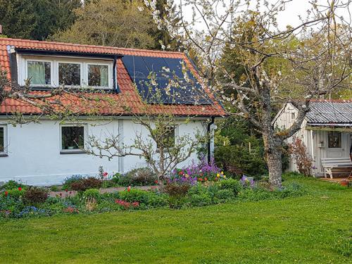 Holiday apartment - 6 persons -  - Stianderödsv. - Degeberga - 298 96 - Östra Sönnarslöv