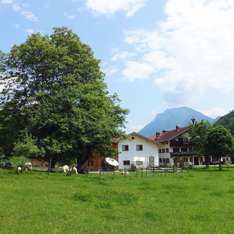 Ferielejlighed - 6 personer -  - Schöffauerstr. - 83088 - Kiefersfelden