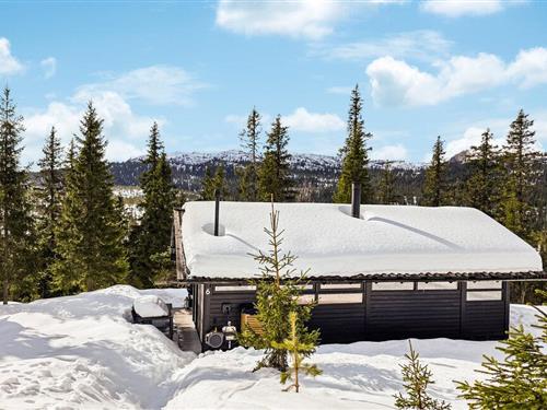 Ferienhaus - 8 Personen -  - Buinlian - Haglebu - 3359 - Eggedal