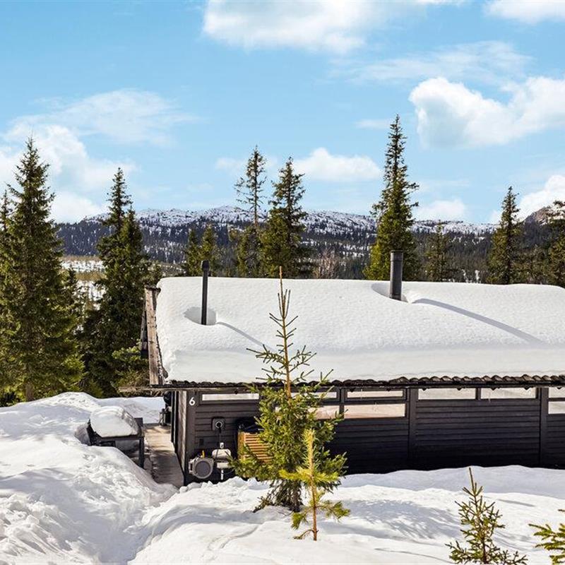 Sommerhus - 8 personer -  - Buinlian - Haglebu - 3359 - Eggedal