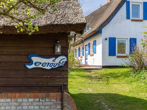 Sommerhus - 4 personer -  - Weg zum Hohen Ufer - 18347 - Ostseebad Ahrenshoop