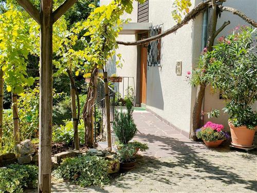 Ferielejlighed - 4 personer -  - Wölfleinstr. - 97247 - Obereisenheim