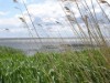 Bild 17