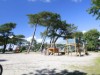 Bild 16