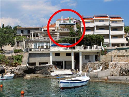 Holiday apartment - 4 persons -  - Molunat - 20219 - Molunat