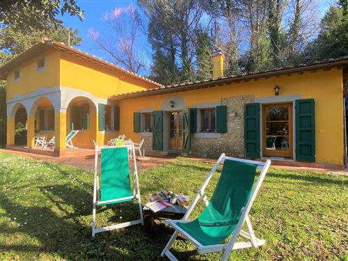 Sommerhus - 4 personer -  - Montescudaio - 56040