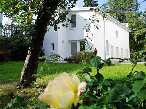 Ferienhaus - 2 Personen -  - Brunnenstraße - 17424 - Heringsdorf (Seebad)