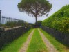 Image 12 - Outside