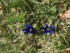 Billede 23