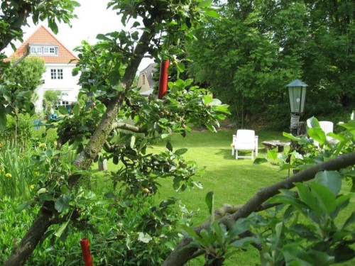 Ferienwohnung - 2 Personen -  - Badallee - 25826 - St. Peter-Ording
