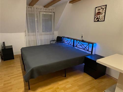 Feriehus / leilighet - 1 person -  - Sonnenstraße - 90763 - Fürth