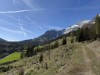 Bilde 15