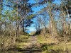 Bild 28 - Ude