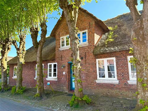 Sommerhus - 6 personer -  - Haus - 25938 - Oldsum