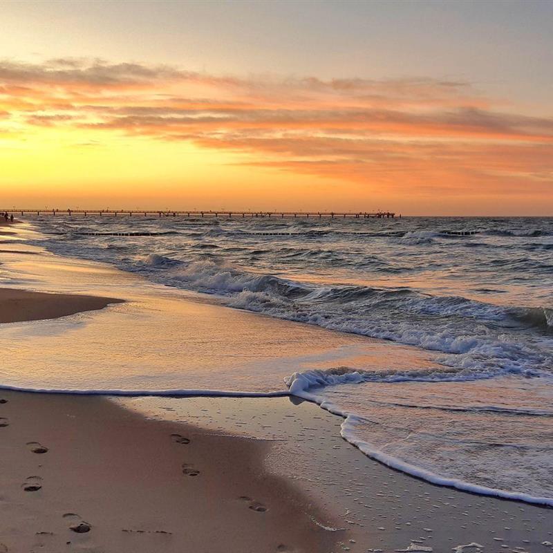 Ferielejlighed - 3 personer -  - Mittelweg - 18181 - Graal-Müritz