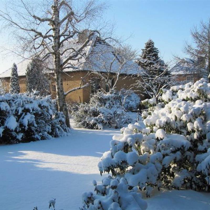 Ferielejlighed - 3 personer -  - Schützenstr. - 21720 - Steinkirchen