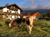 Billede 3
