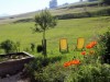 Billede 8